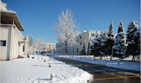 尊龙凯时-人生就是搏自动门集团2013年办公楼雪景