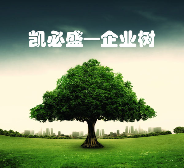 2016尊龙凯时-人生就是搏中高层管理者培训